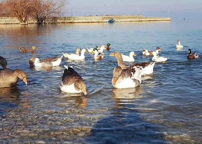 Restaurant Univers Hotell 3*